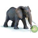 Schleich 14762 Slon africký