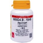 Sinecura WBO4.9 yiguanjian 60 tablet – Hledejceny.cz