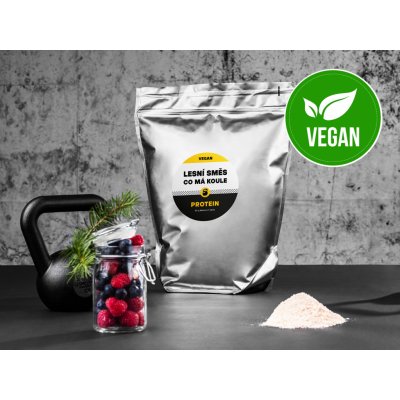 Železná koule Protein VEGAN 2500 g – Hledejceny.cz