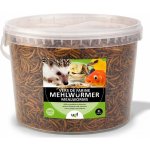 UGF sušený moučný červ 3l / 460 g – Zboží Dáma