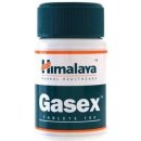 Himalaya Gasex 100 tablet