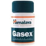 Himalaya Gasex 100 tablet – Hledejceny.cz