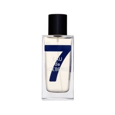 Iceberg Eau de Cedar Homme toaletní voda pánská 100 ml – Hledejceny.cz