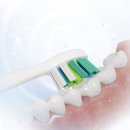 Náhradní hlavice pro elektrický zubní kartáček Sencor SOX 101
