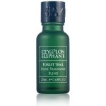 Spa Ceylon Směs Esenciálních Olejů FOREST TRAIL 20 ml – Hledejceny.cz