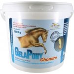 Orling Gelapony Chondro HYAL 0,9 kg – Hledejceny.cz