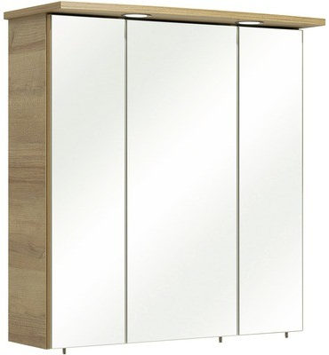 Pelipal Zrcadlová skříňka Quickset 919 72x65x20 cm 40.476537