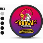 Kurwa collection just berries forest berries 12 mg 20 sáčků – Hledejceny.cz