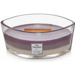 WoodWick Trilogy Amethyst Sky 453,6 g – Zboží Dáma