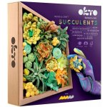 OKTO Sukulentní modelovací sada 21 x 21 cm ENERGIA – Hledejceny.cz
