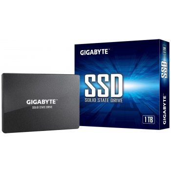 Gigabyte 1TB, GP-GSTFS31100TNTD