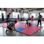 TRINFIT Tatami Karate T20 – Zboží Mobilmania