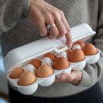 Koziol Box na vajec Eggs To Go 10 ks – Hledejceny.cz