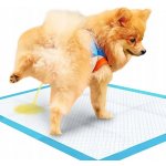 Purlov 21599 Tréninkové absorpční podložky pro psy 60 x 40 cm 100 ks – Zboží Mobilmania