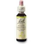 Caltha kosmetika Bylinky 75 ml – Hledejceny.cz