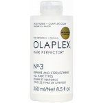 Olaplex Hair Perfector č. 3 kúra pro domácí péči 250 ml – Hledejceny.cz