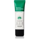 Some By Mi True Cca Aqua Calming Suncream SPF50+/PA++++ zklidňující krém SPF50 ml – Hledejceny.cz