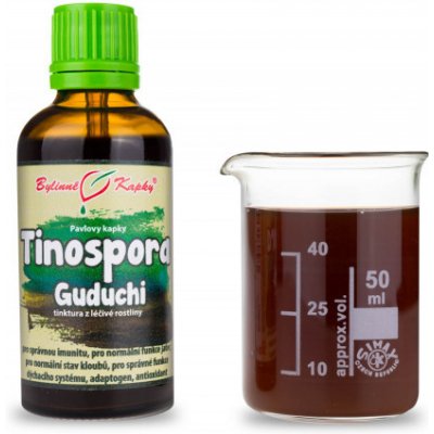 Bylinné kapky Pavlovy bylinné kapky Tinospora chebule srdčitá Guduchi tinktura 50 ml – Hledejceny.cz