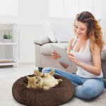 SWANEW Dog Bed Psí postele ANIMALS – Sleviste.cz