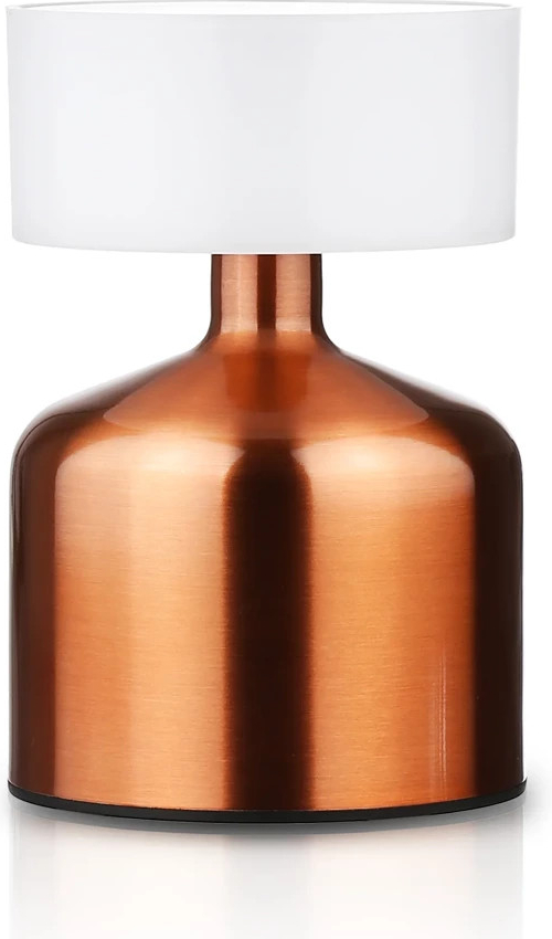 Interlook 4956