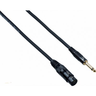 Bespeco EAJXF300 – Sleviste.cz