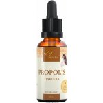Serafin Propolis tinktura z bylin 30 ml – Hledejceny.cz