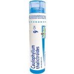 CAULOPHYLLUM THALICTROIDES POR 9CH GRA 1X4G – Hledejceny.cz
