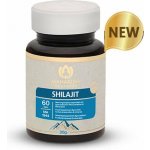 Maharishi Ayurveda Shilajit 60 tablet – Hledejceny.cz
