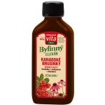 MaxiVita Herbal Bylinný sirup Kanadské Brusinky 200 ml – Zboží Mobilmania