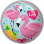Potištěný míč FLAMINGO 230 mm – Zboží Mobilmania