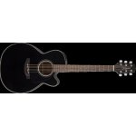 TAKAMINE GN30CE – Zbozi.Blesk.cz