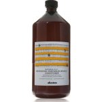 Davines Naturaltech Nourishing Vegetarian Miracle Conditioner 1000 ml – Hledejceny.cz