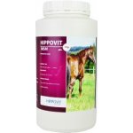 Hippovit MSM 1000 g – Hledejceny.cz