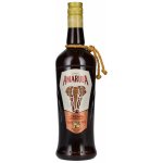 Amarula Marula Wild Fruit Cream Liqueur 17% 0,7 l (holá láhev) – Sleviste.cz