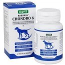 Univit Roboran Chondro 6 60 tbl