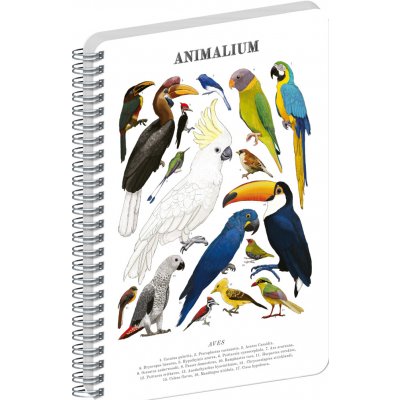 NOTIQUE Špirálový blok Animalium Vtáky čistý A4 – Hledejceny.cz