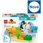 LEGO® DUPLO® 10442 Rodinky divokých zvířat: Tučňáci a lvi – Hledejceny.cz