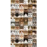 Fotozáclony kočky 140x245cm FCS L 7567 – Hledejceny.cz
