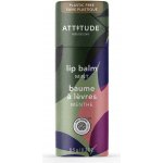 Bio Spectra přírodní balzám na rty attitude leaves bar s vůní máty 8,5 g – Zboží Dáma