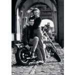 Dino Zamilovaní 500 dílků – Hledejceny.cz