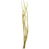 Květina větve Mitsumata 3ks-sv. 80cm - žluté 381986-02