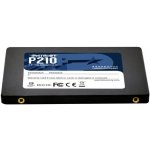 Patriot P210 1TB, P210S1TB25 – Zboží Živě