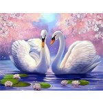 Norimpex Diamantové malování Labutí jezero 30 x 40 cm – Sleviste.cz