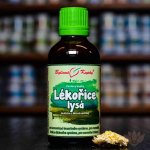 Bylinné kapky Lékořice lysá kapky 50 ml – Hledejceny.cz