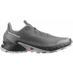Salomon Alphacross 5 473133 29 W0 Pewter/Black/Ghost Gray – Zboží Dáma