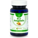 Natural Pharm Amygdalin Vitamin B17 20 mg 100 tablet – Hledejceny.cz