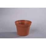 květ. d10cm PREMIUM VCG/leh 15 kusů – Hledejceny.cz