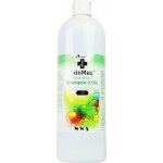 SkinMed chlorhexidin shampoo 0,5% 1 l – Hledejceny.cz