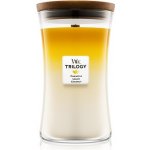 WoodWick Trilogy Fruits of Summer 609,5 g – Hledejceny.cz