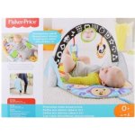 Fisher Price Dečka pro aktivní zábavu 2v1 – Hledejceny.cz